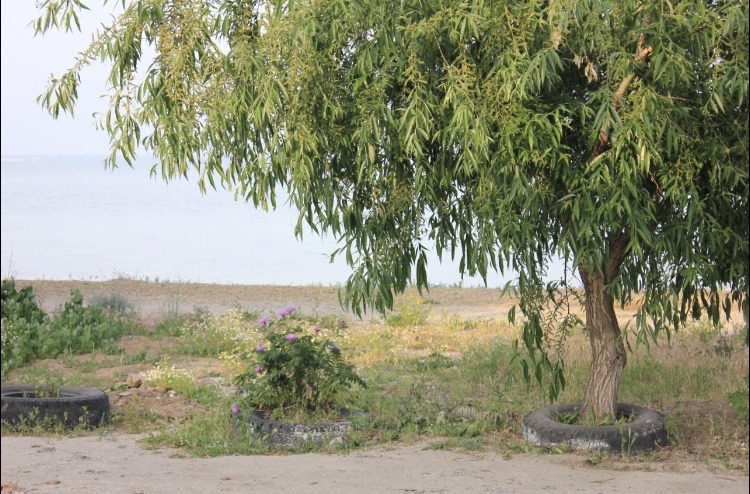 Фото Фантазия