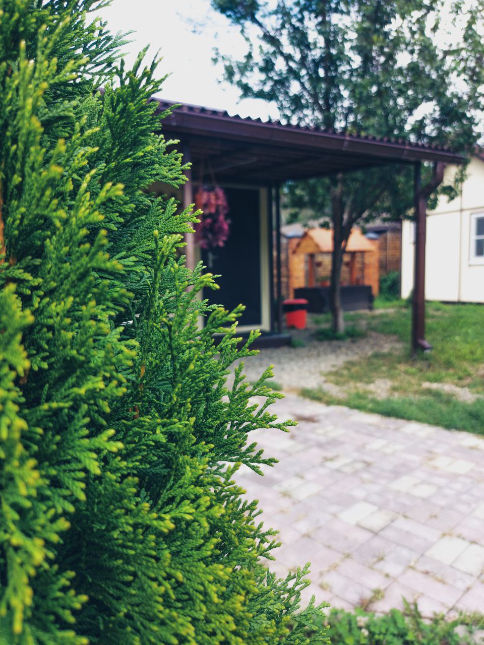 Фото Морозовъ