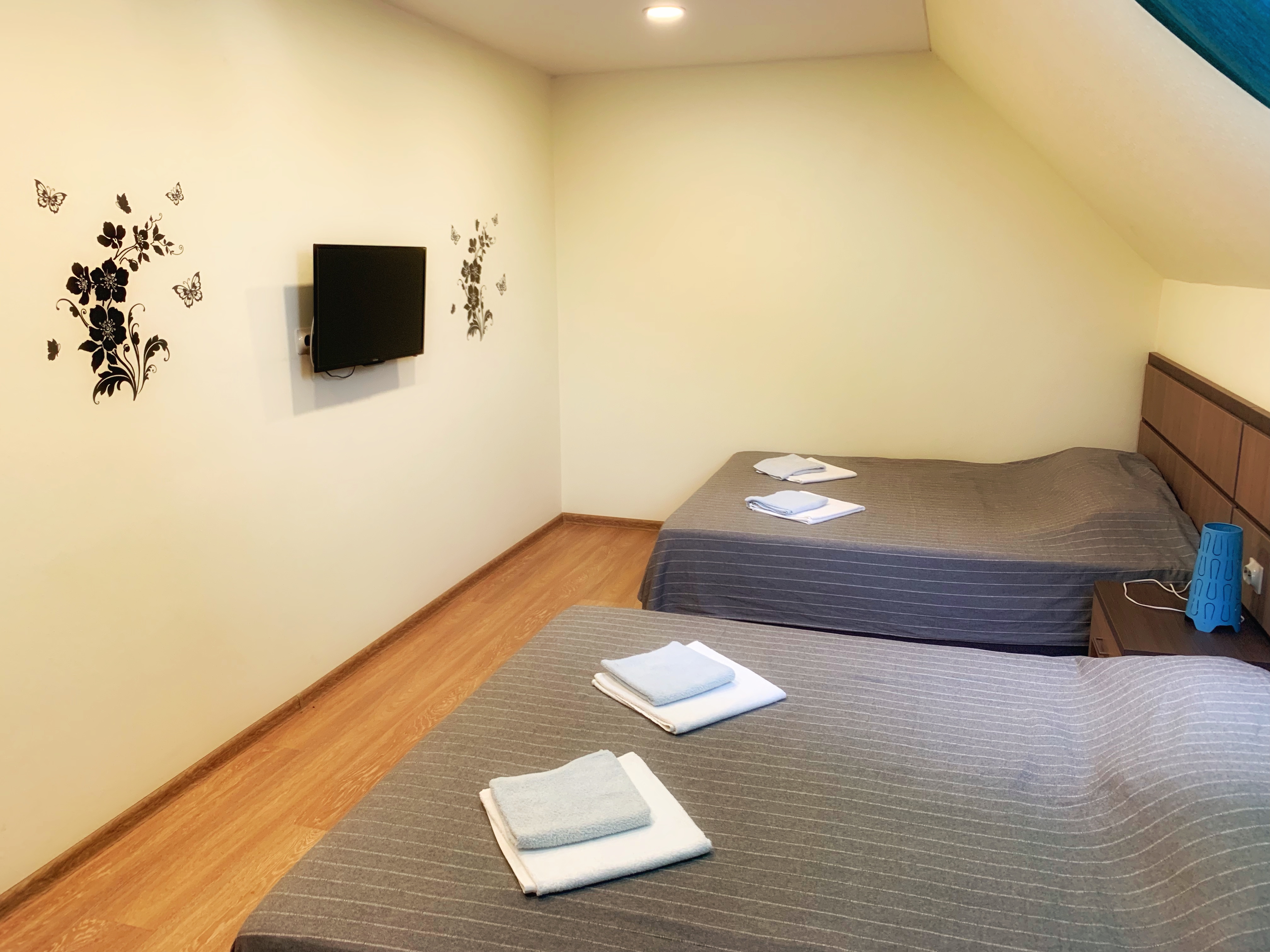 Фото Золотой Каштан