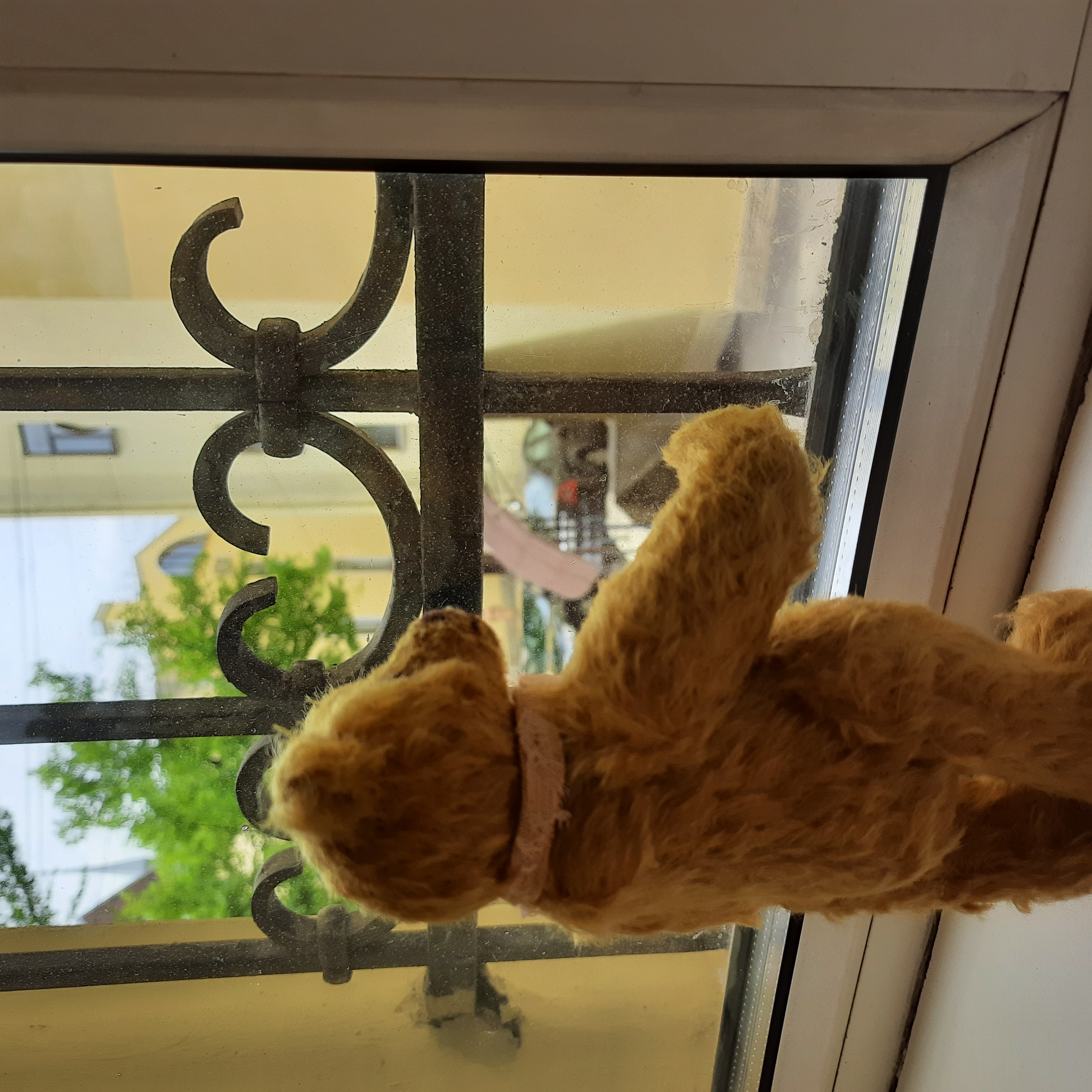 Фото Rinaldi на Васильевском