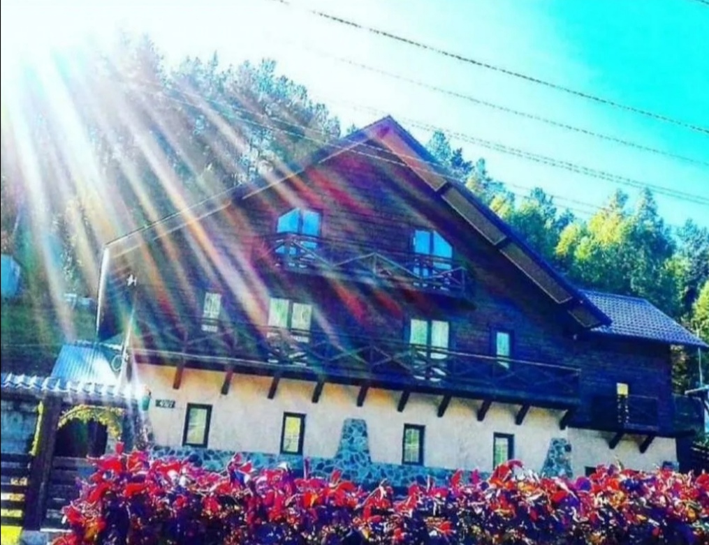 Фото Горная Пчела