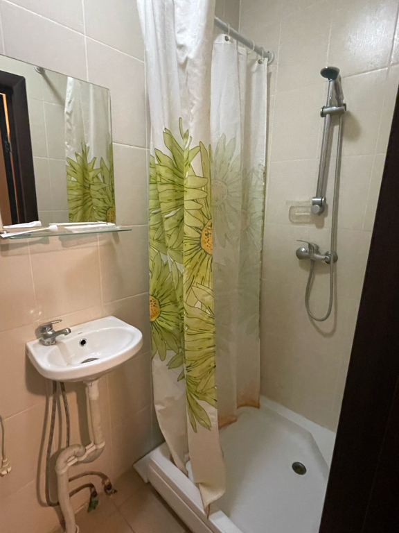 Фото Базилик