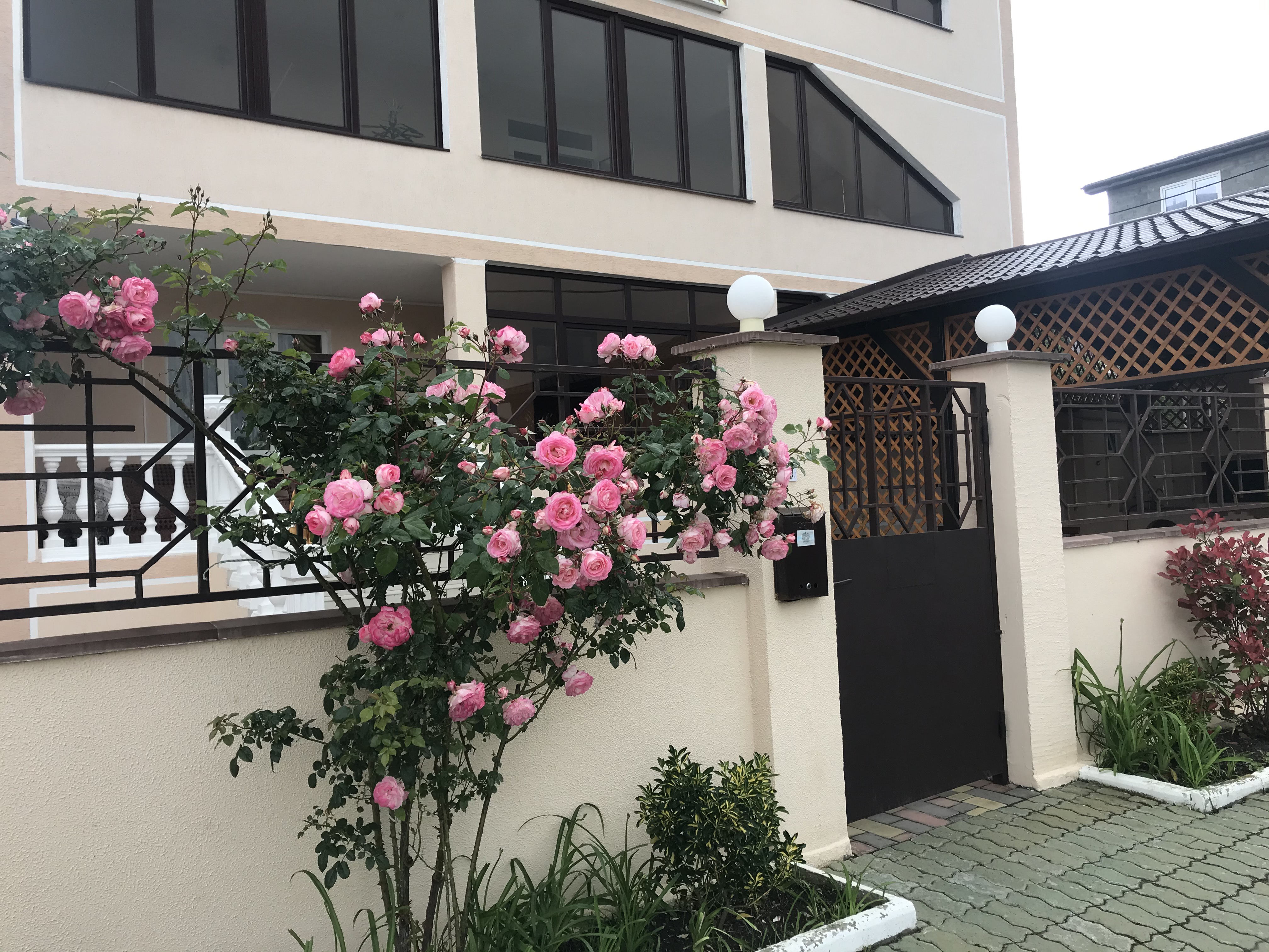 Фото Милена