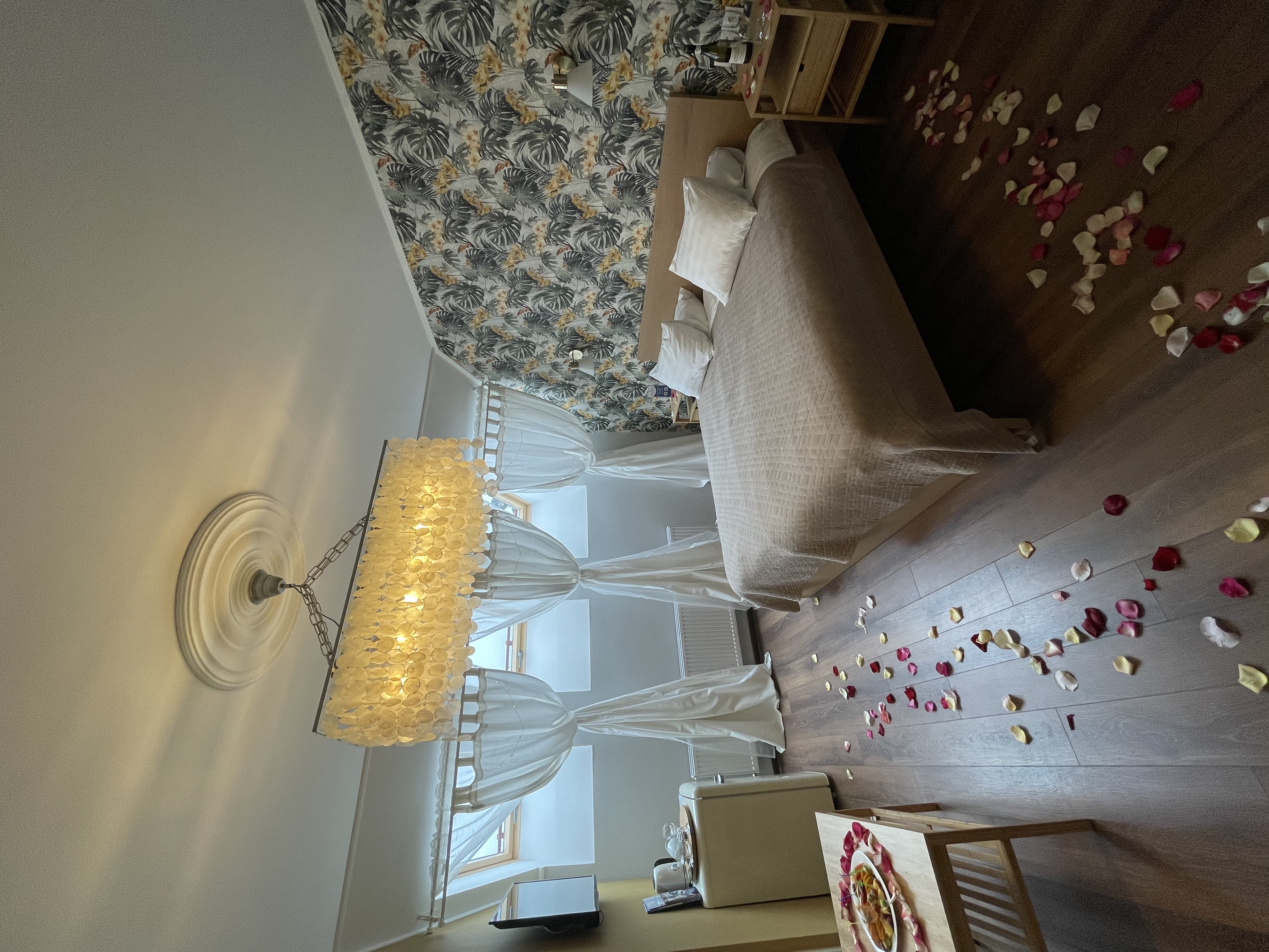 Фото Наутилус