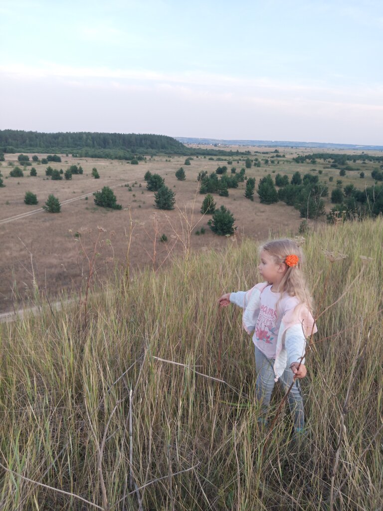 Достопримечательность Итяковское городище, Республика Мордовия, фото