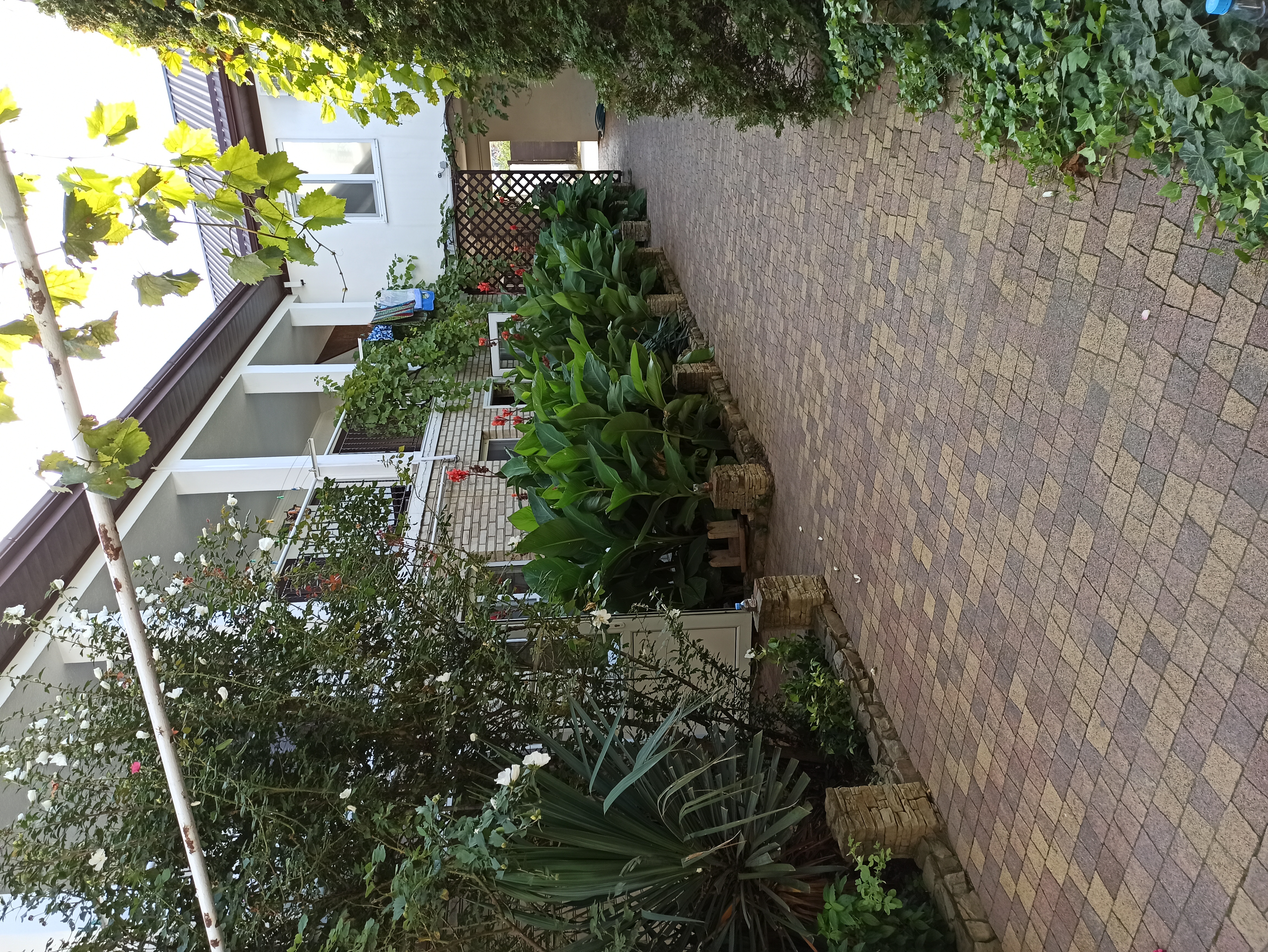 Фото Николь