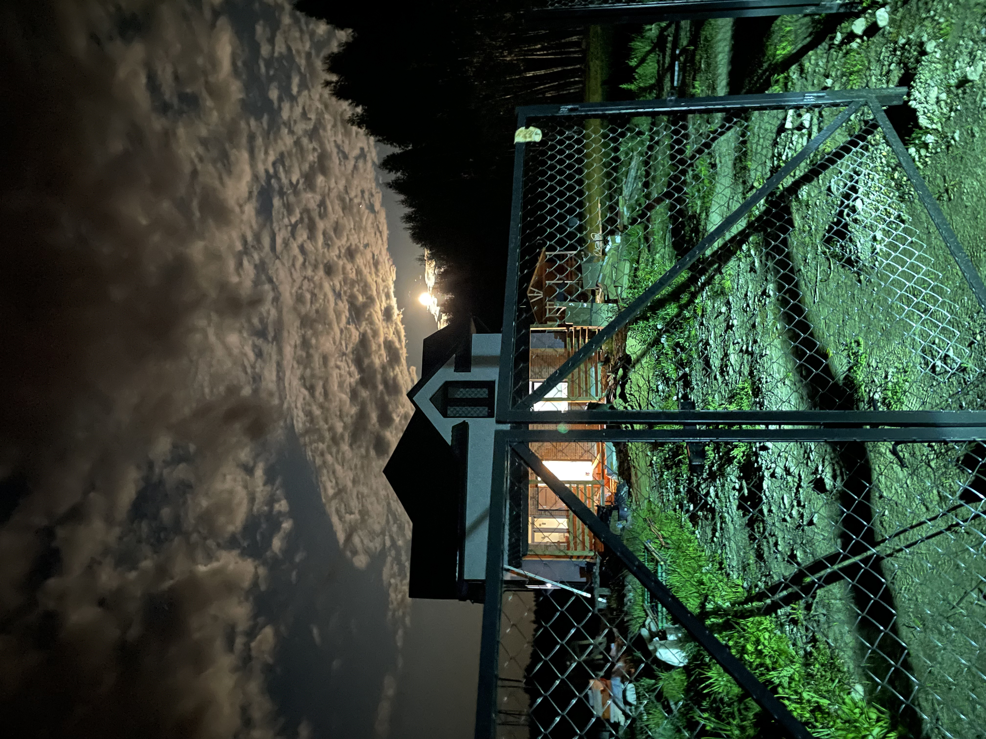 Фото The Поле