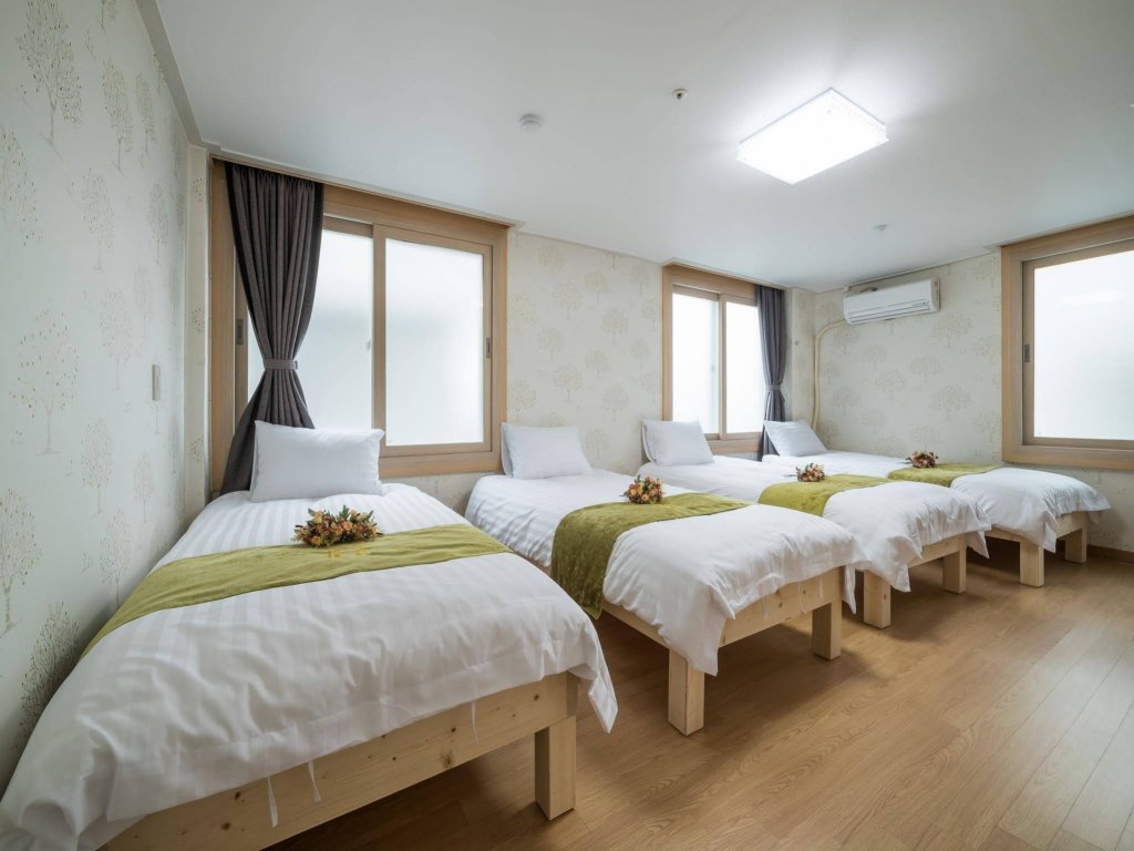 Фото Olle Seven Hostel