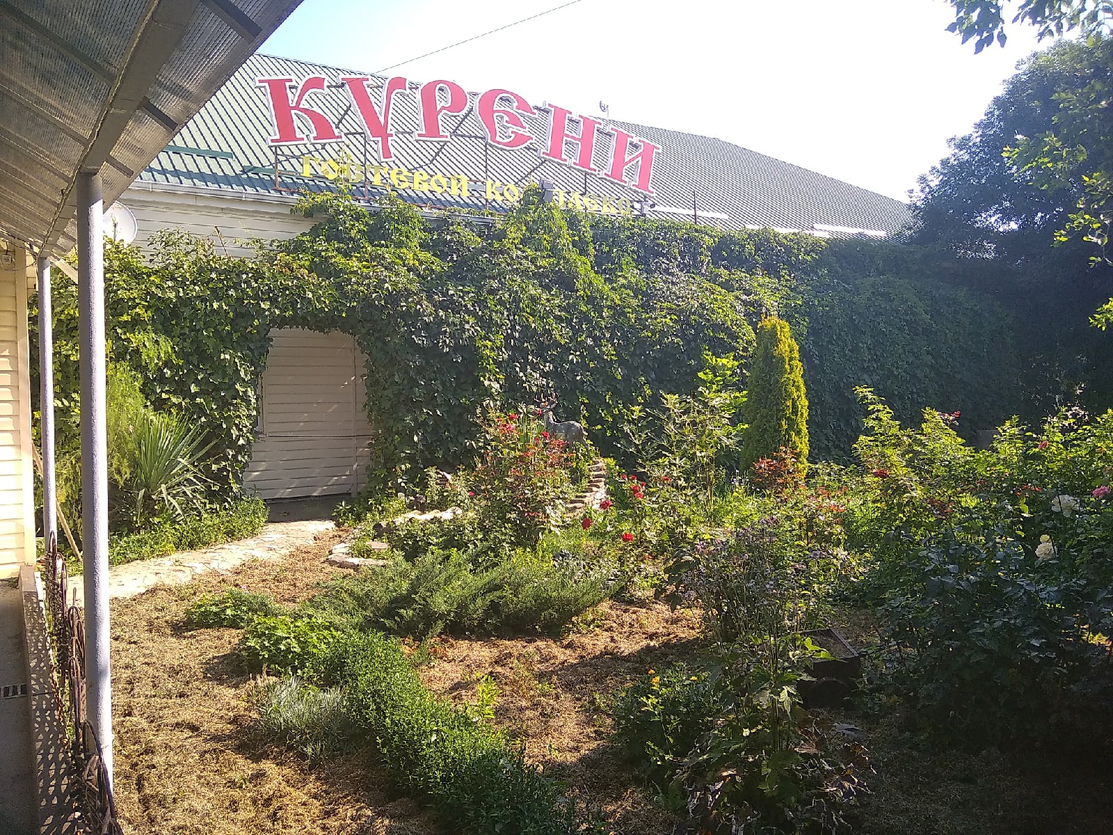 Фото Курени