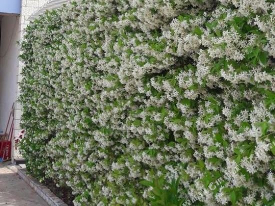 Фото Hotel Heksamil