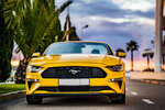 Top Cars (Chernomorskaya Street, 6), car rental