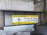 Nezhny Zver (prospekt Lenina, 44), clínica veterinaria