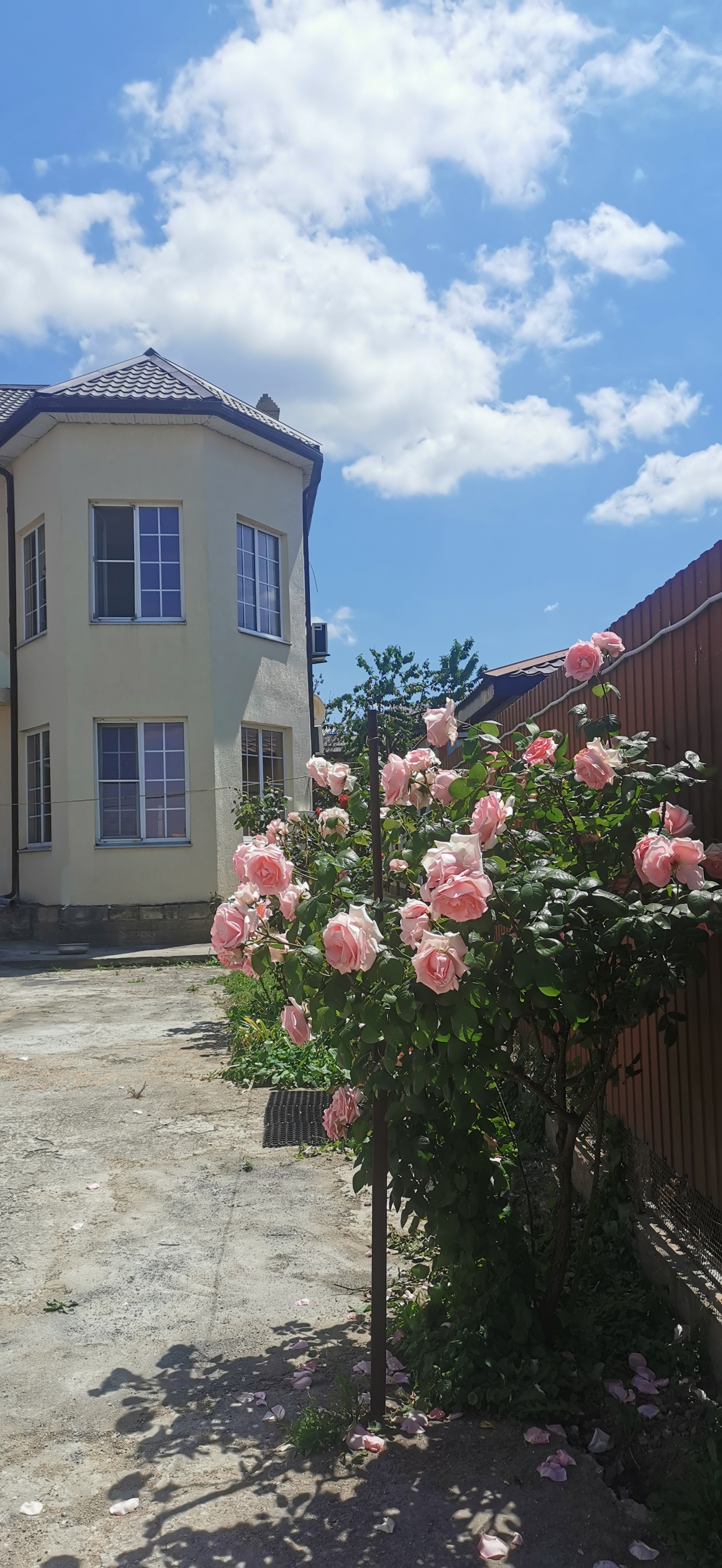 Фото В гостях у сказки