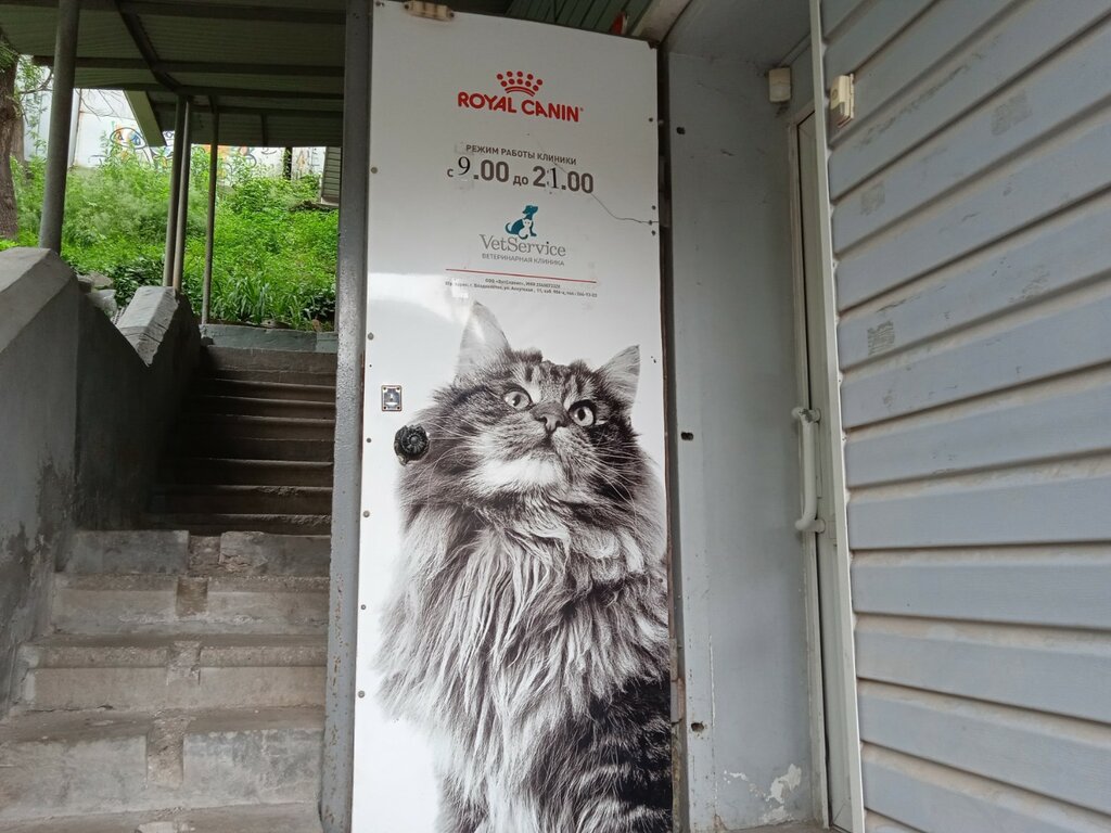 Veterinary clinic Vet-Servis, Vladivostok, photo