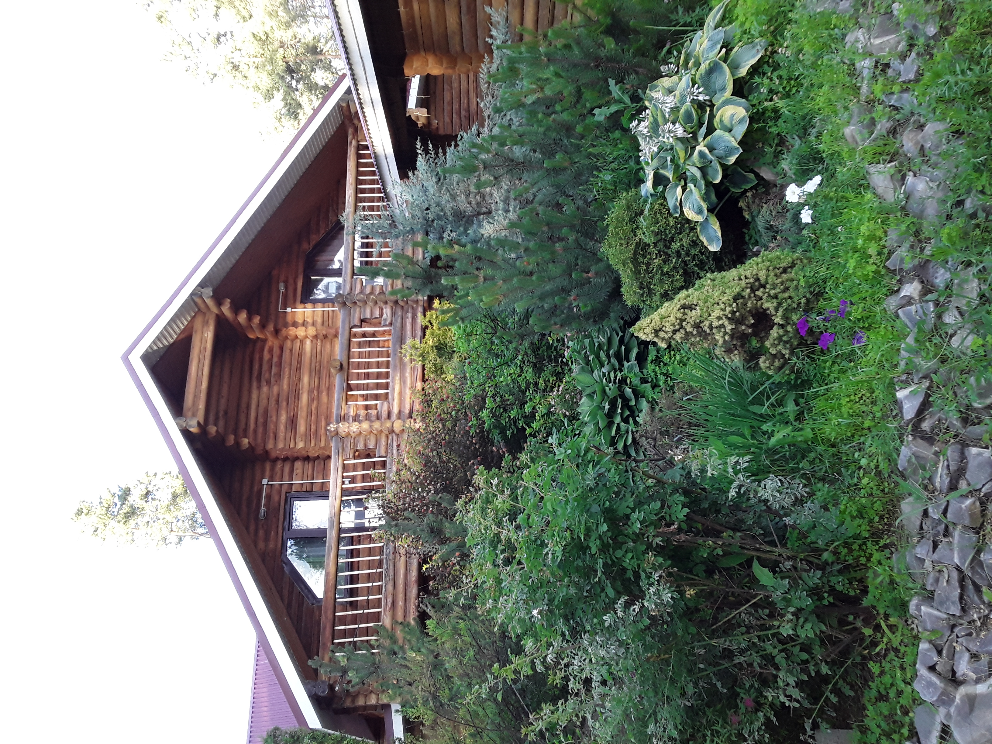 Фото Лесная гавань