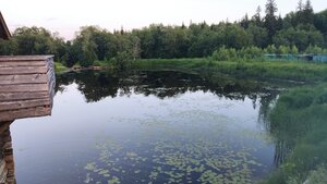 Водяная мельница (Центральная ул., 67, д. Турынгурт), достопримечательность в Удмуртской Республике