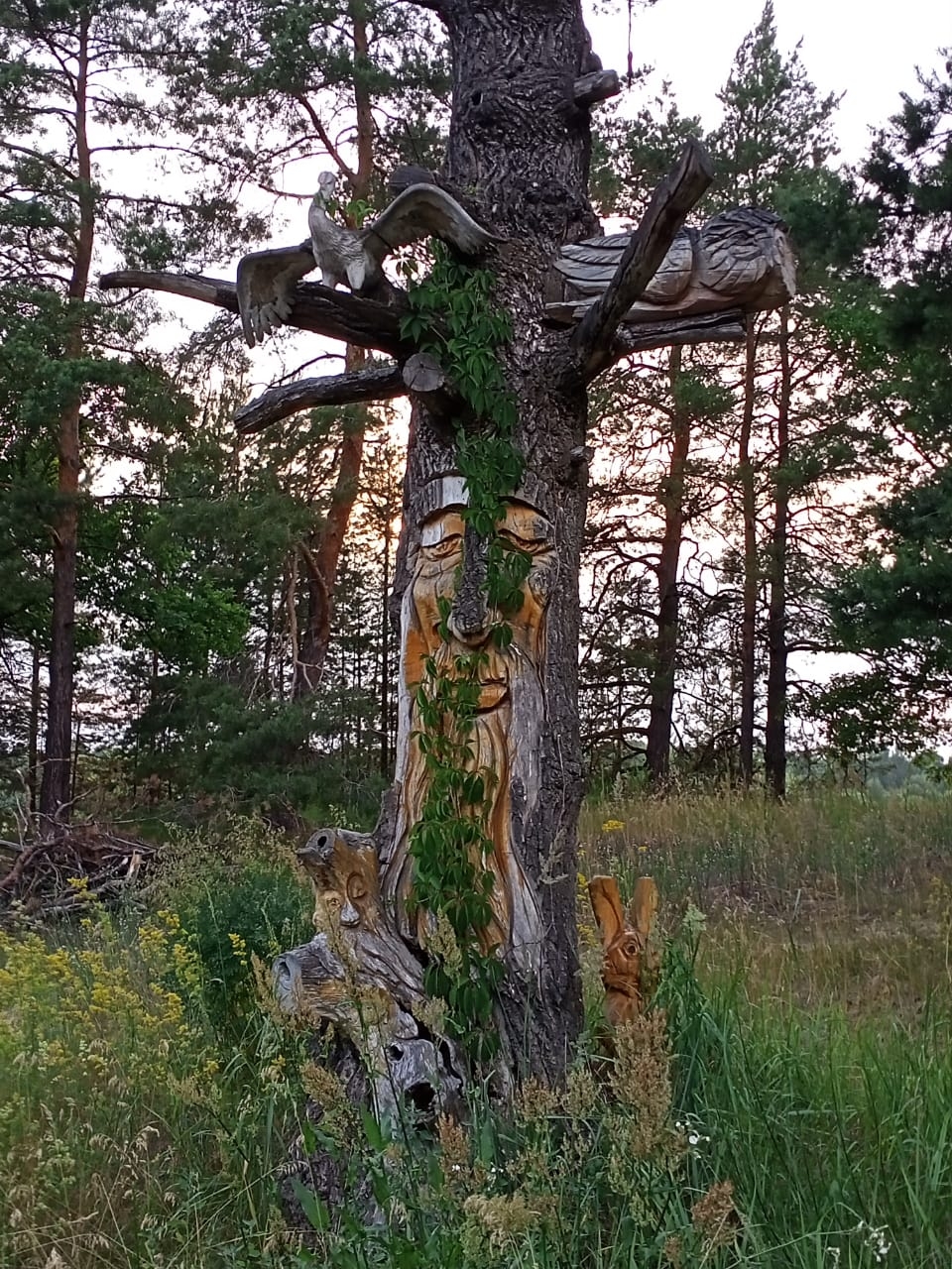 Фото В гостях у сказки