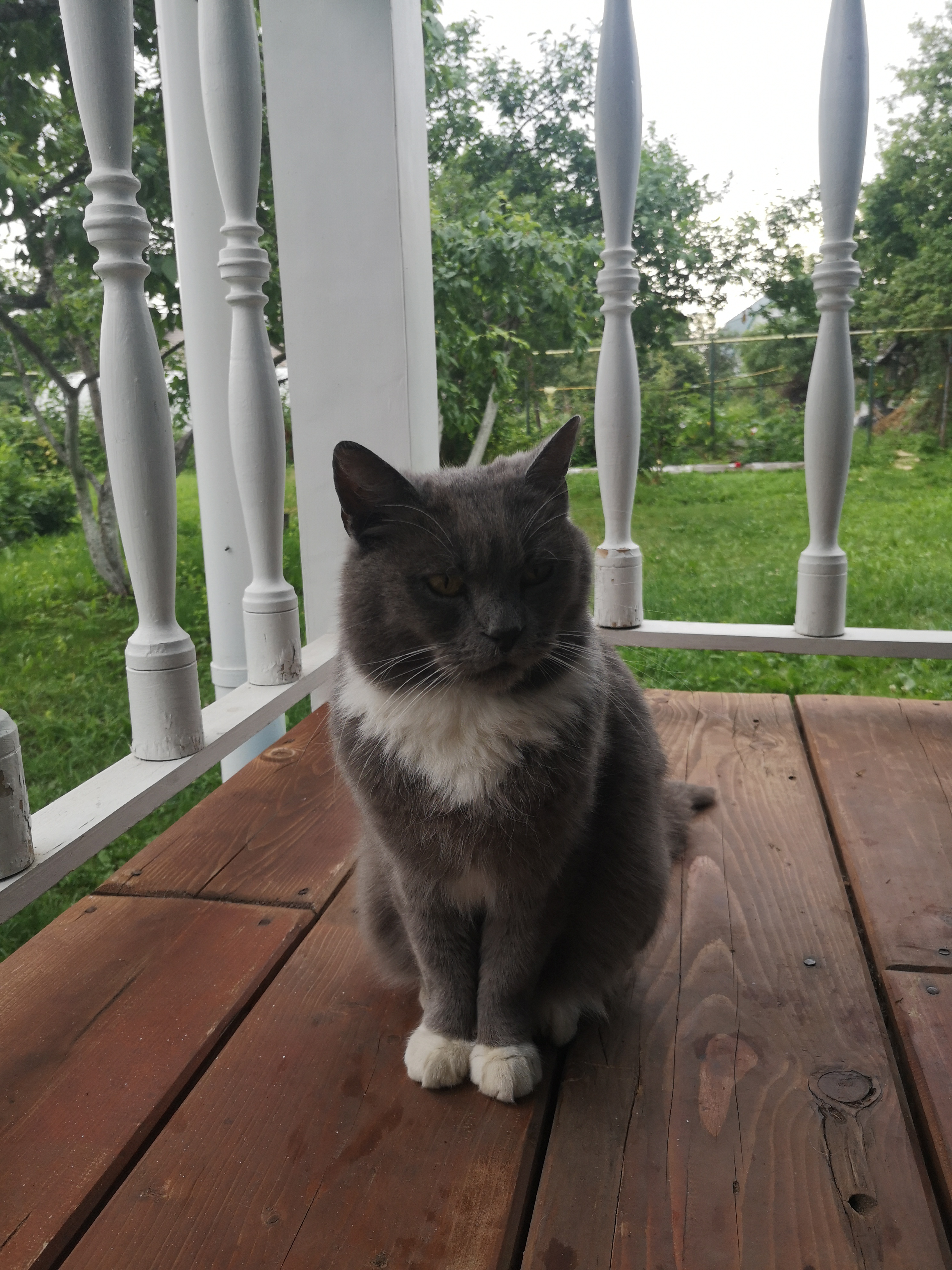 Фото Лосиный тупичок