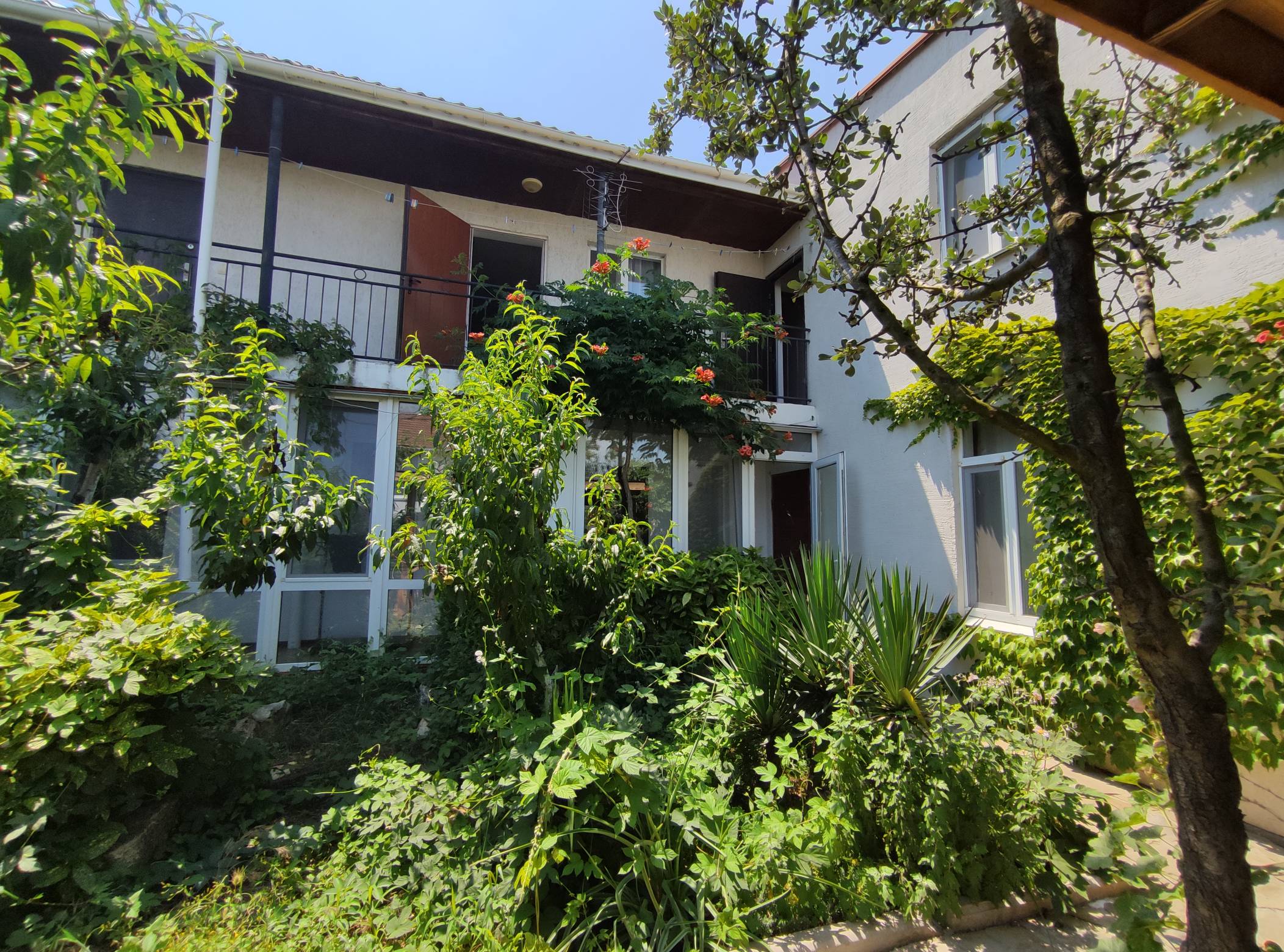 Фото Фиолентовский