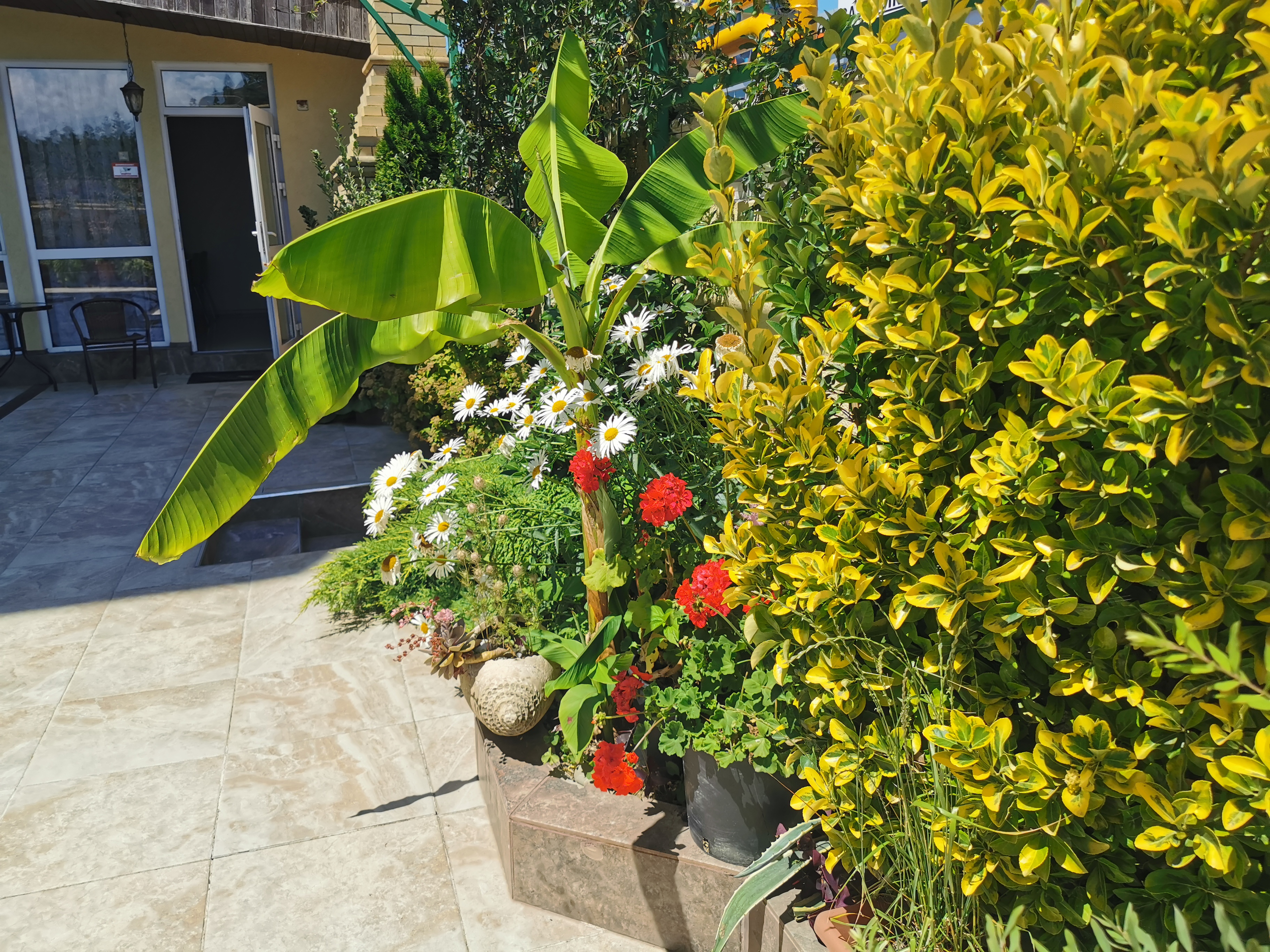 Фото Orange House