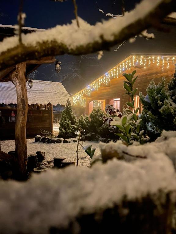 Фото Добрый Дом