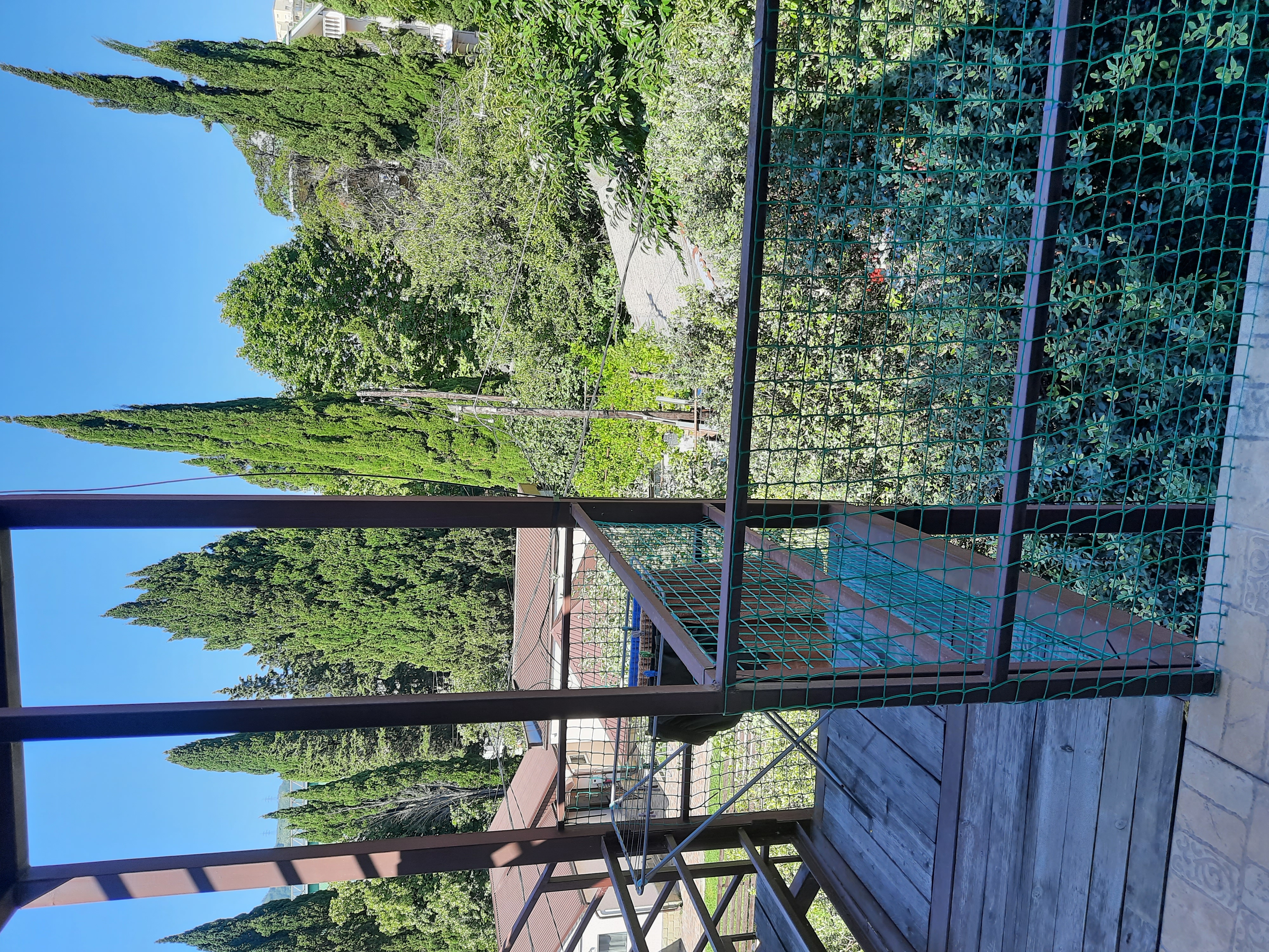 Фото Tavush Sochi