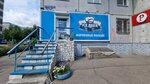 Ice Beer (ulitsa Lado Ketskhoveli, 35), cervecería