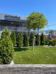 BlackWest (territoriya Tsemdolina, Lenina Street, 1К) ، غسيل سيارة