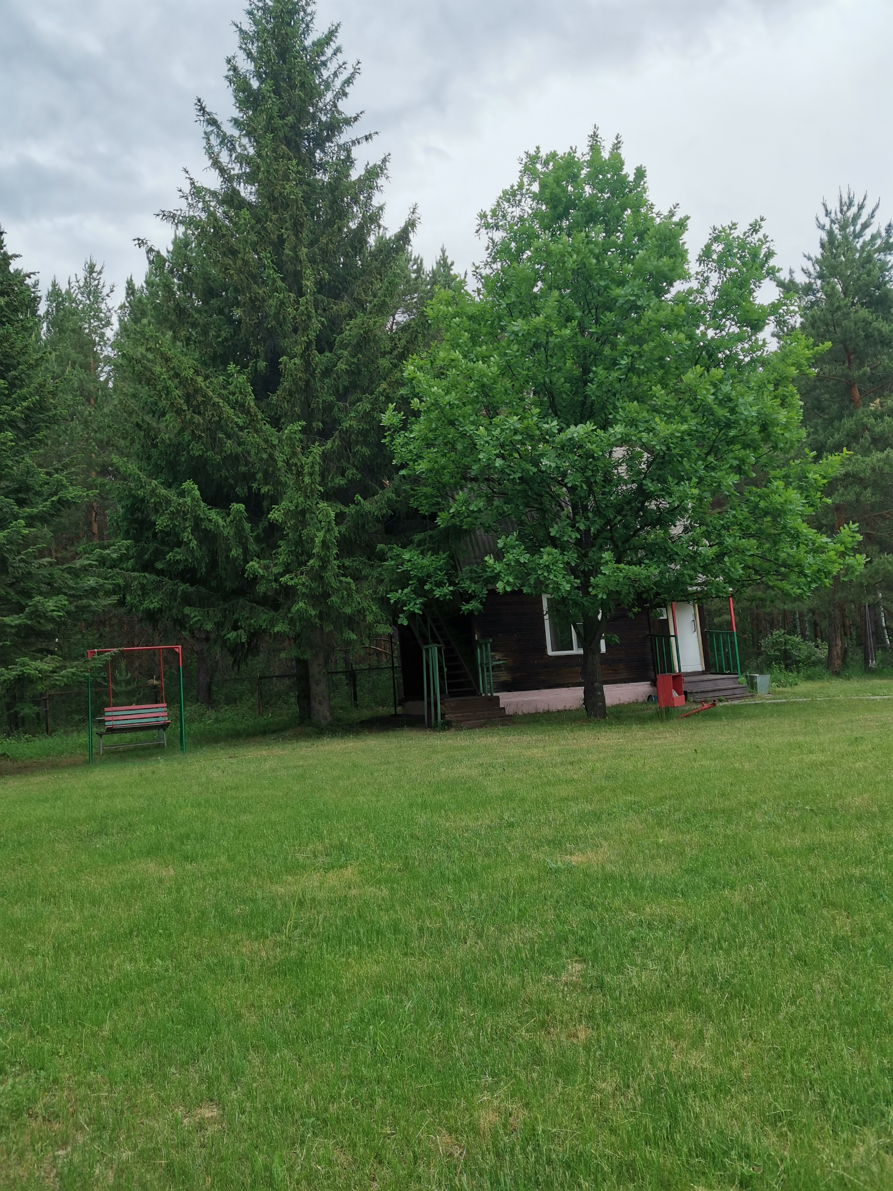 Фото Зелёная поляна