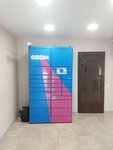 Ozon (6th Microdistrict, ulitsa Valerii Gnarovskoy, 6) ، الطرود الآلي