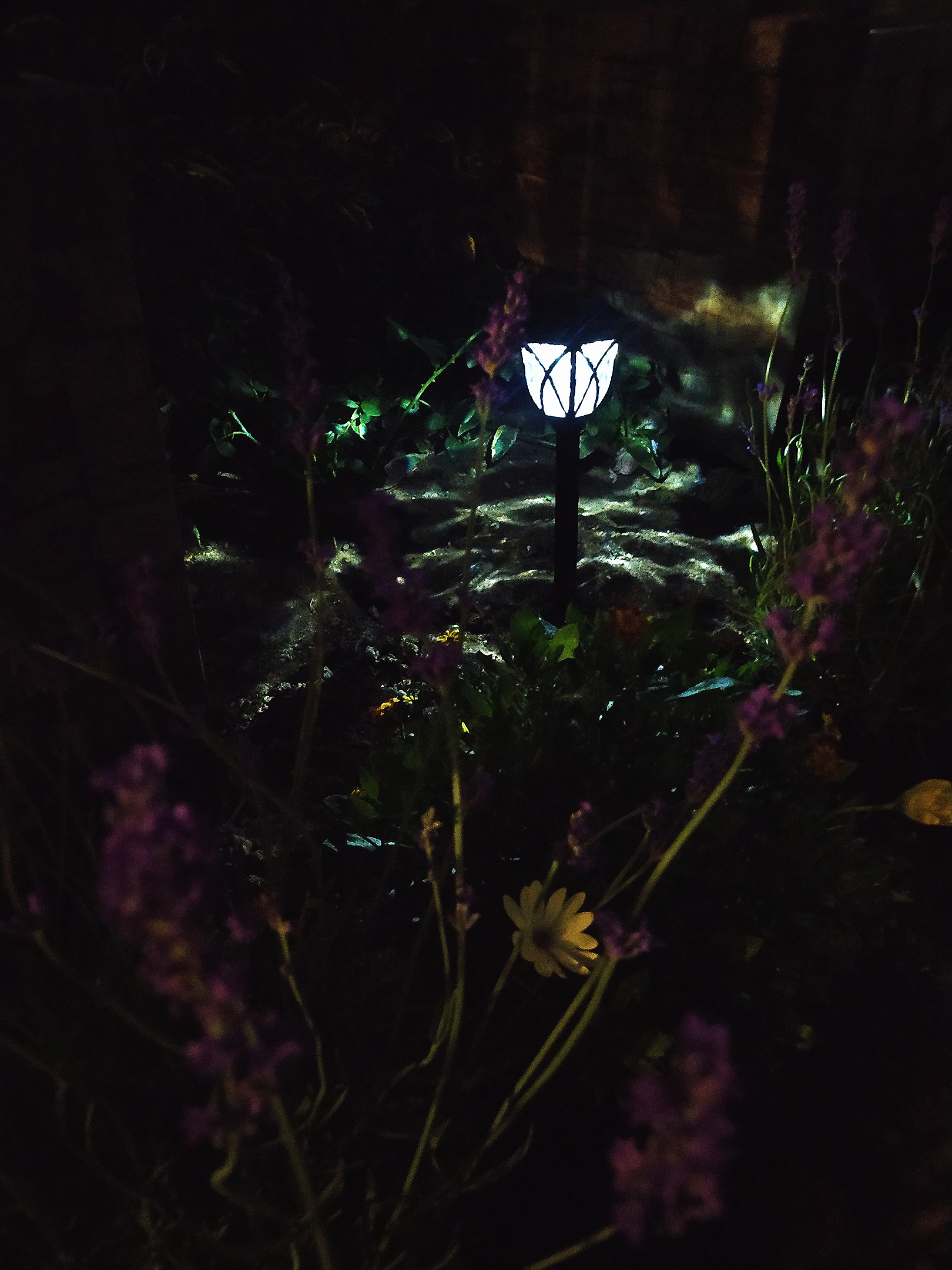 Фото Дионис