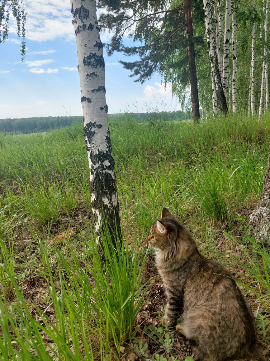 Фото Крутой