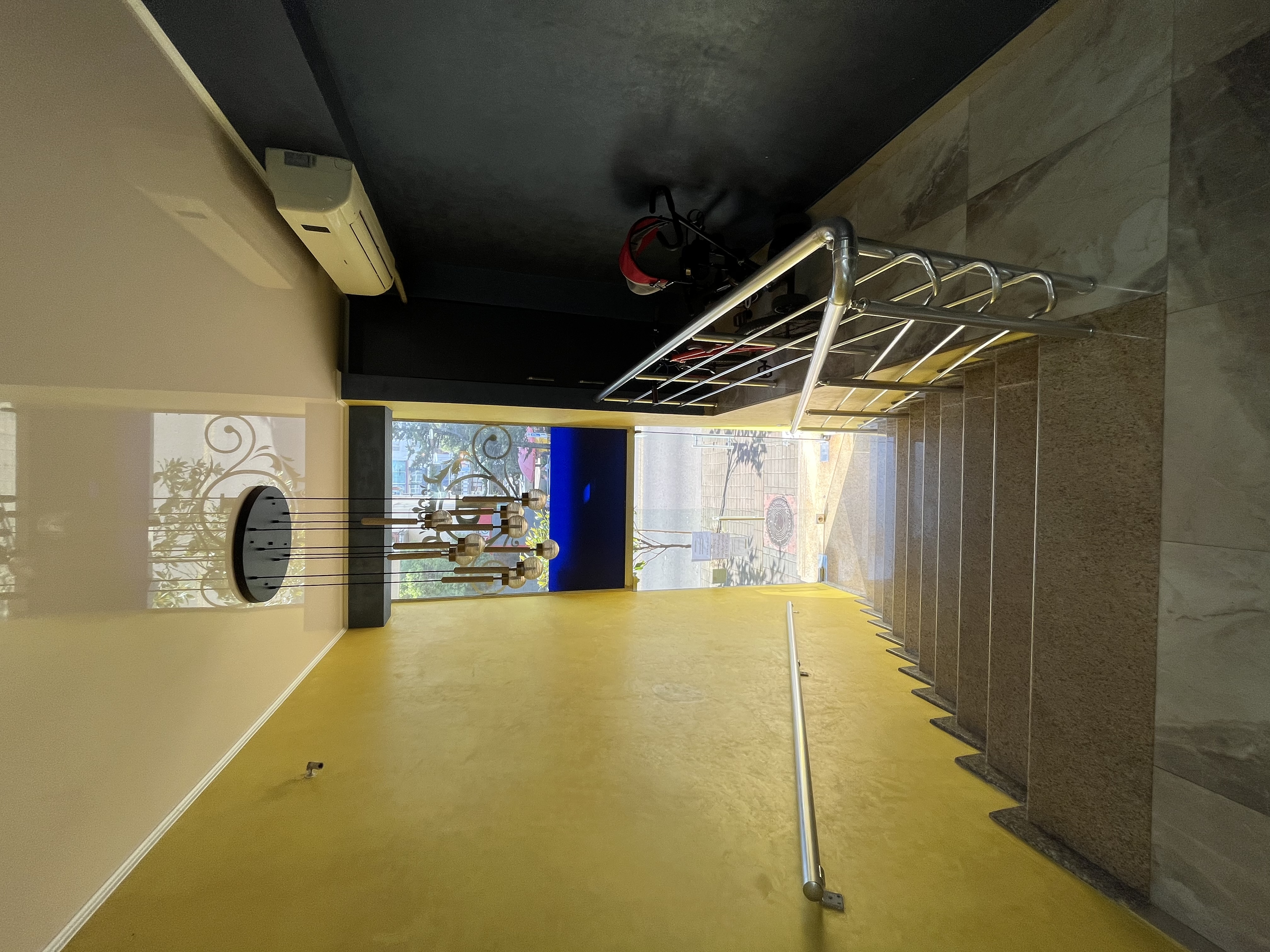 Фото Дельфин