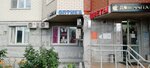 Vilens (Rozhdestvenskaya Street, 33), opticial store