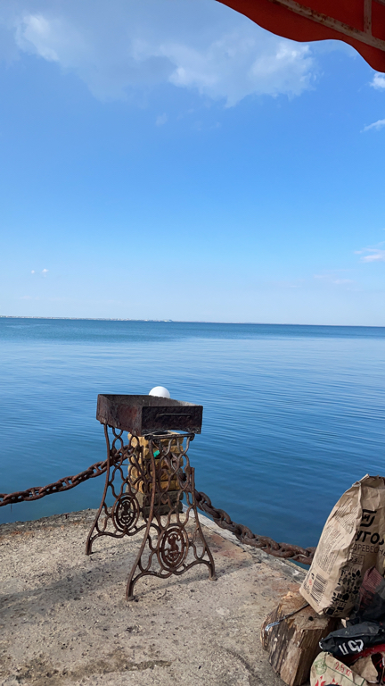 Фото Эллинг