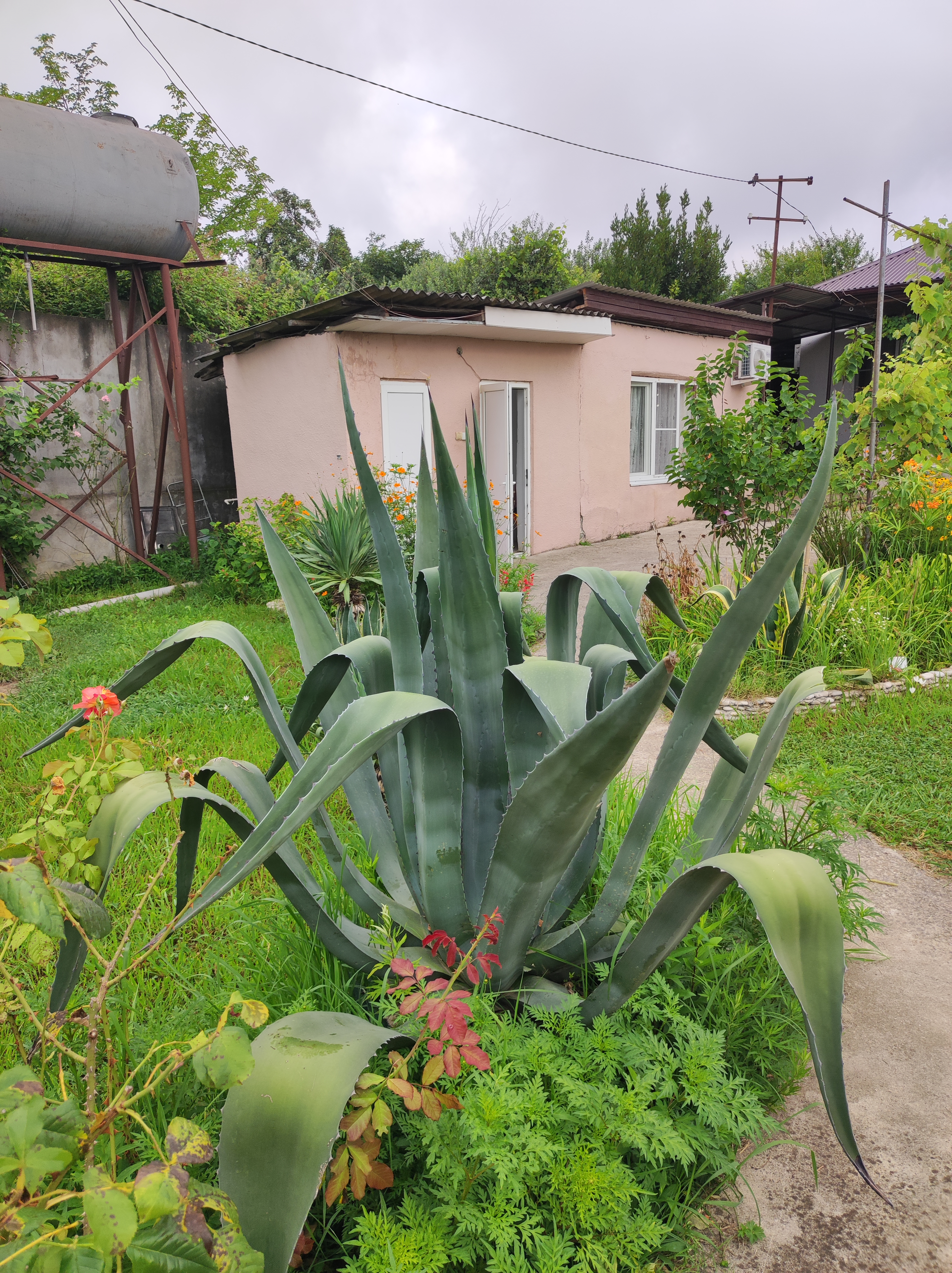 Фото Гостевой дом Релакскомфорт