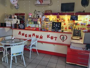 مقهى Family cafe Favorite cat ، ، صورة