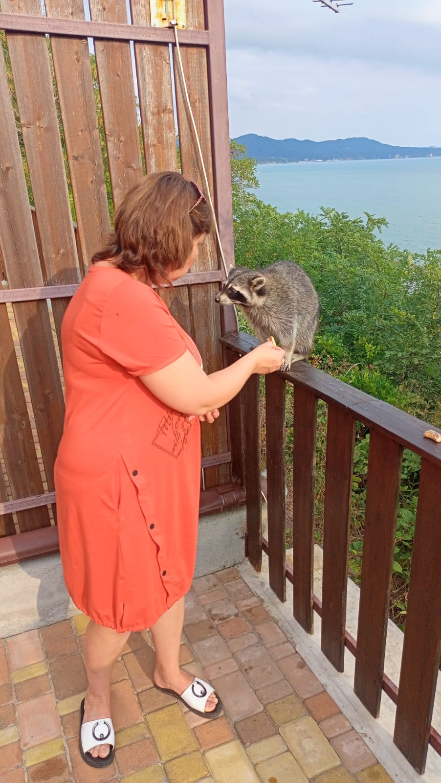 Фото Прибрежная сказка