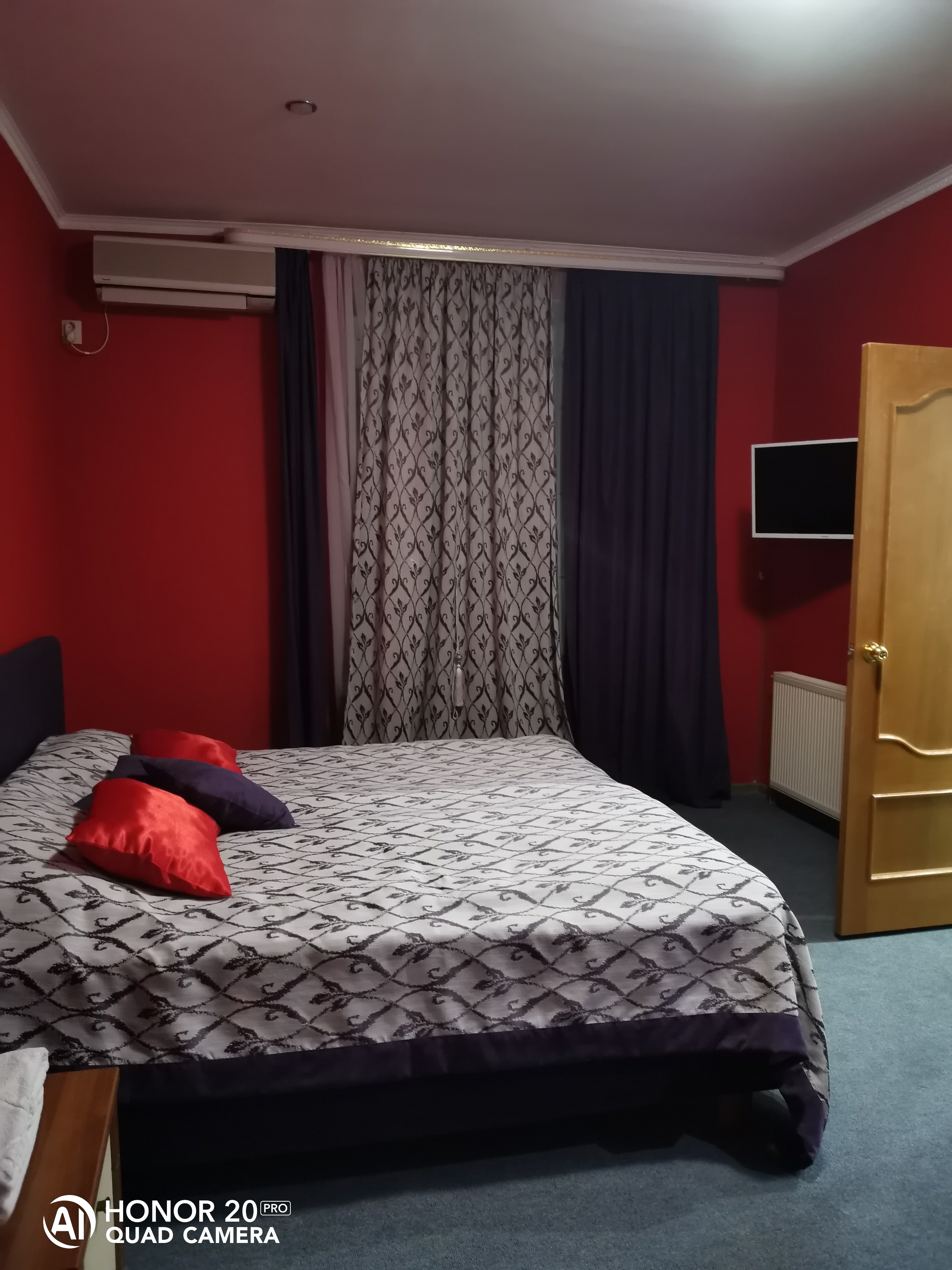 Фото Орхидея