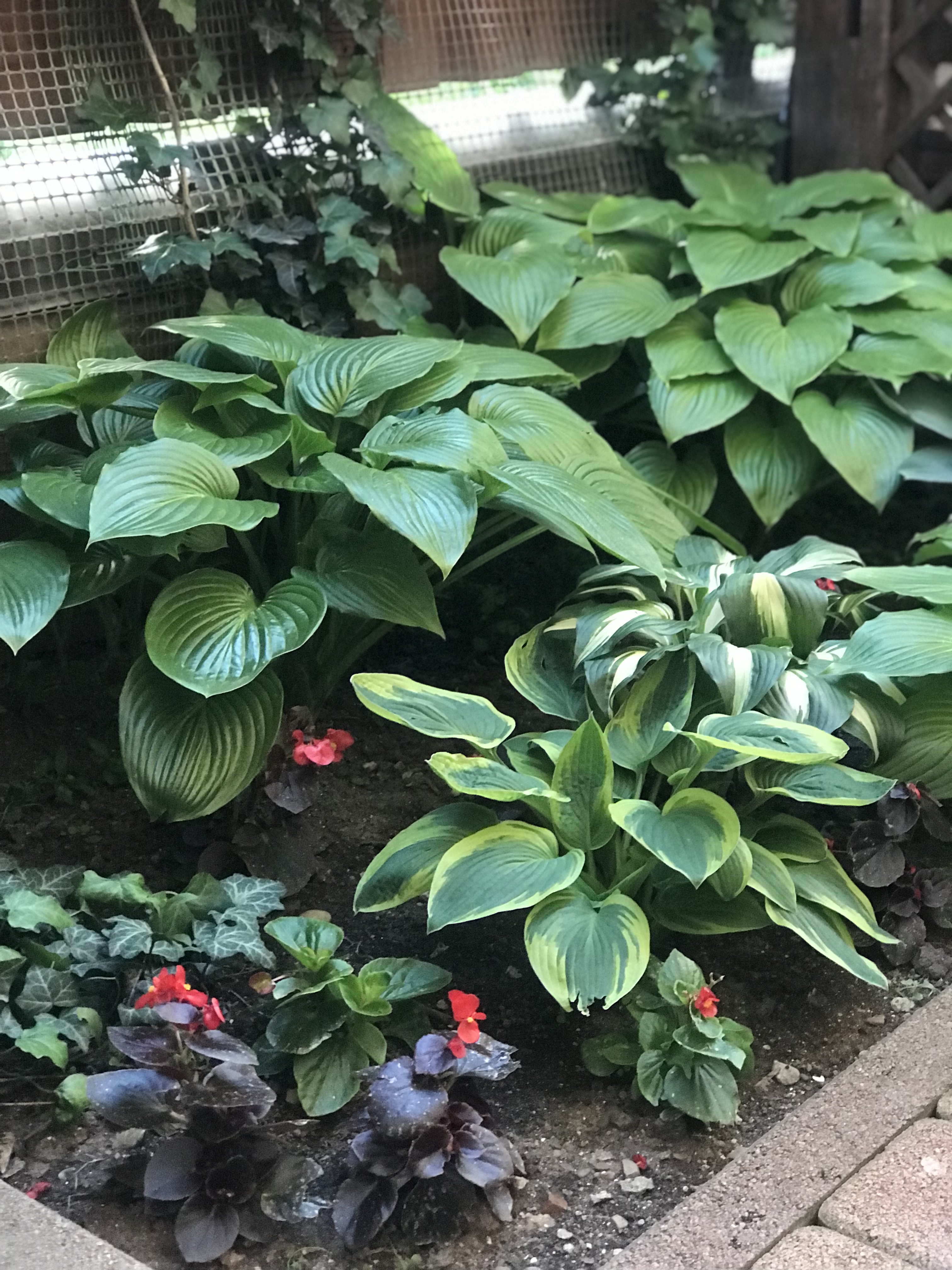 Фото Прованс