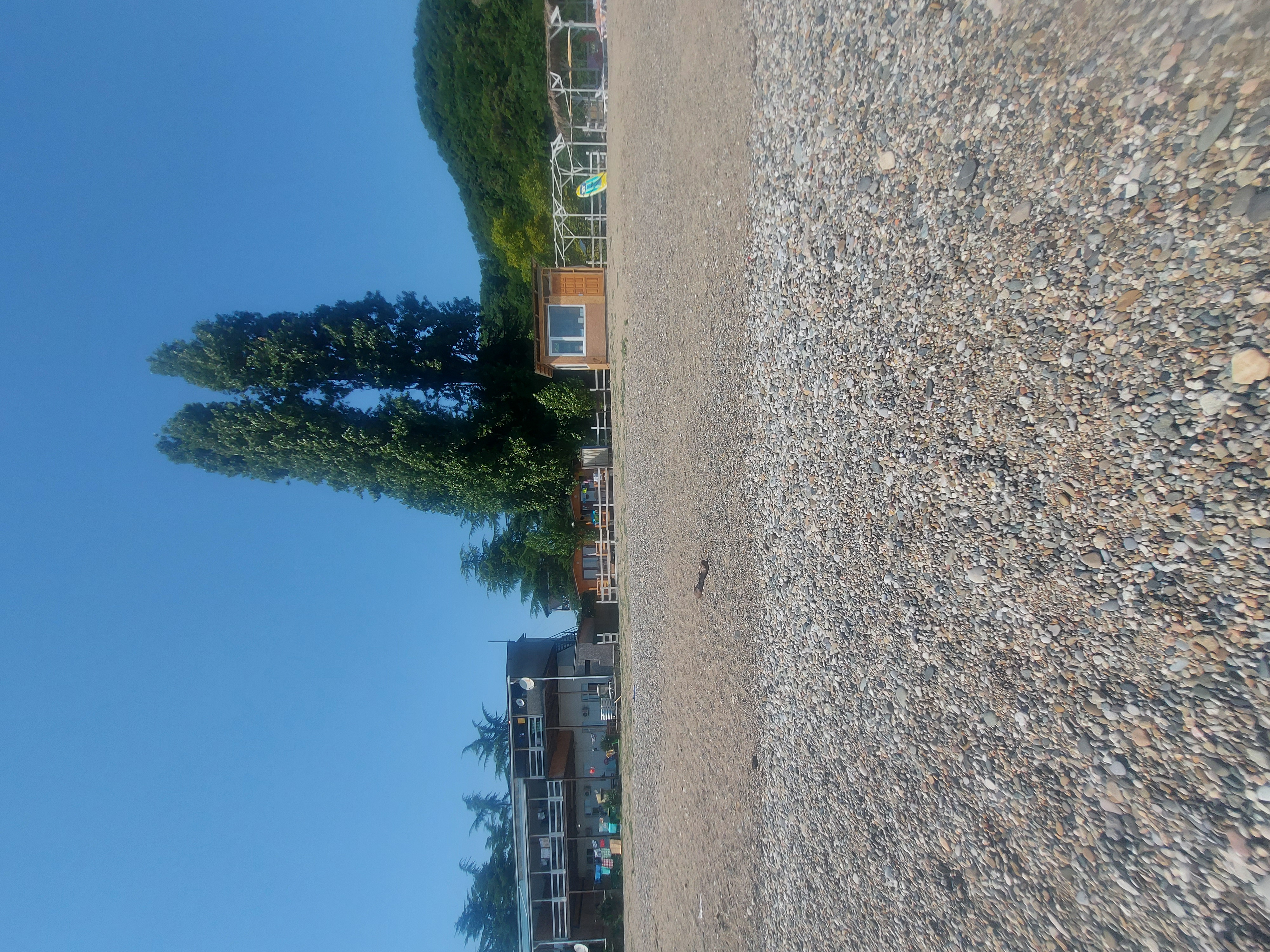 Фото Три Тополя