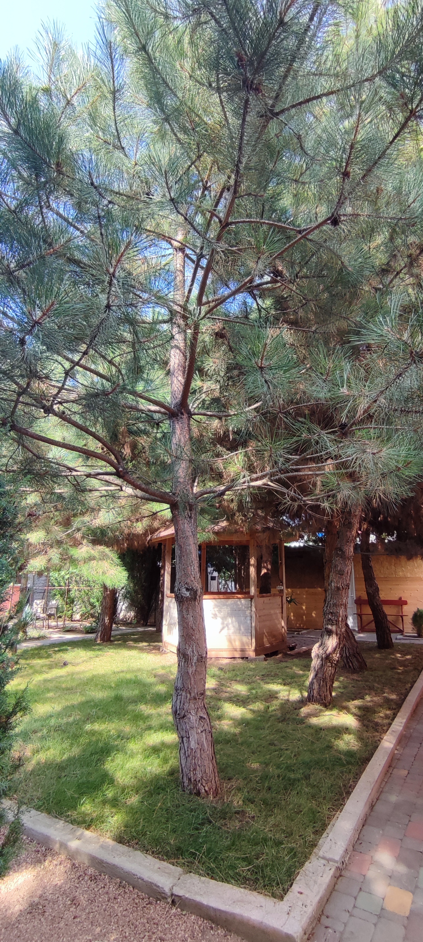 Фото Вилла Magenta