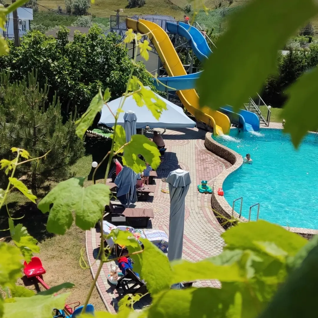 Фото Альбатрос