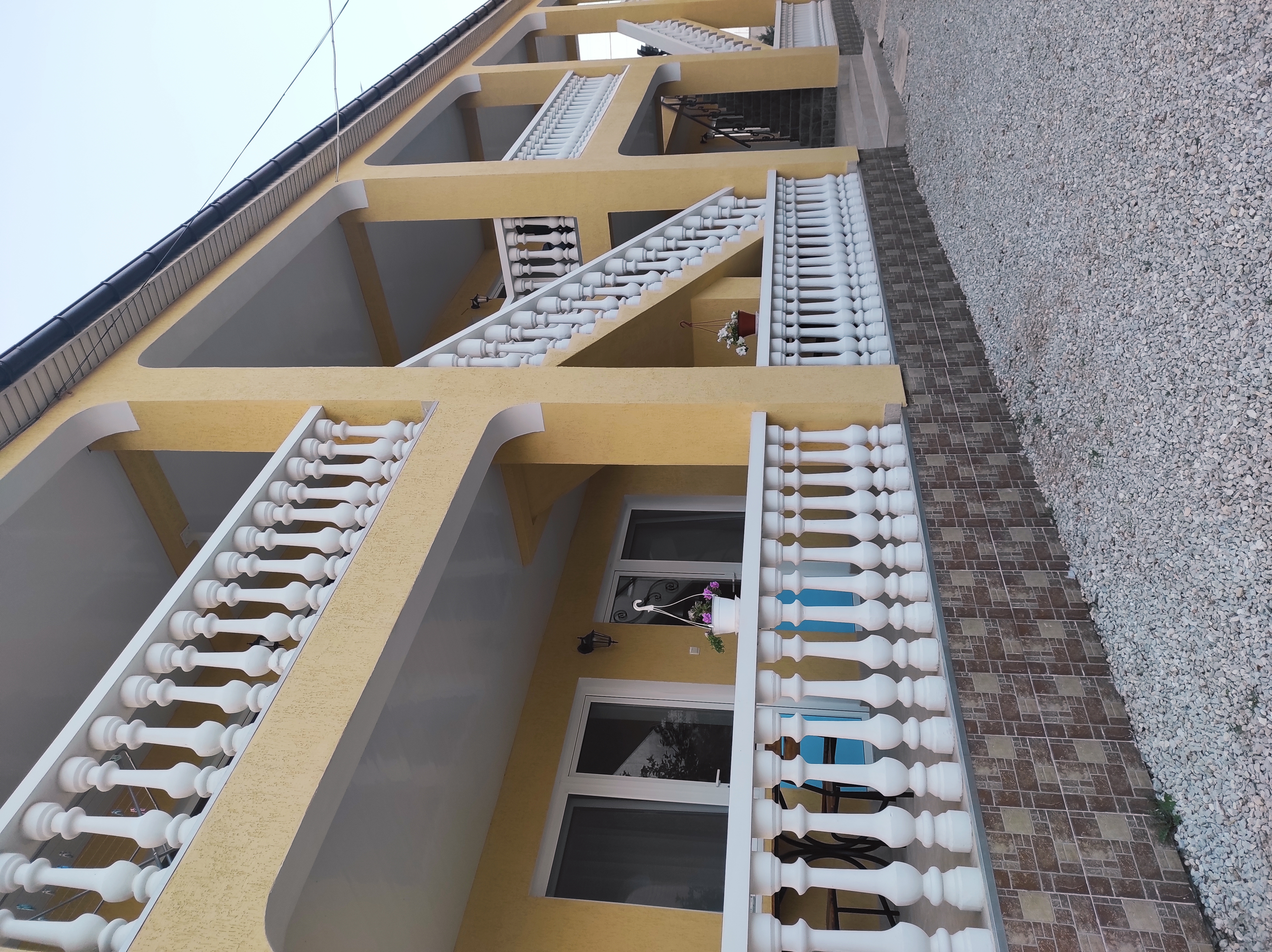 Фото Клевер