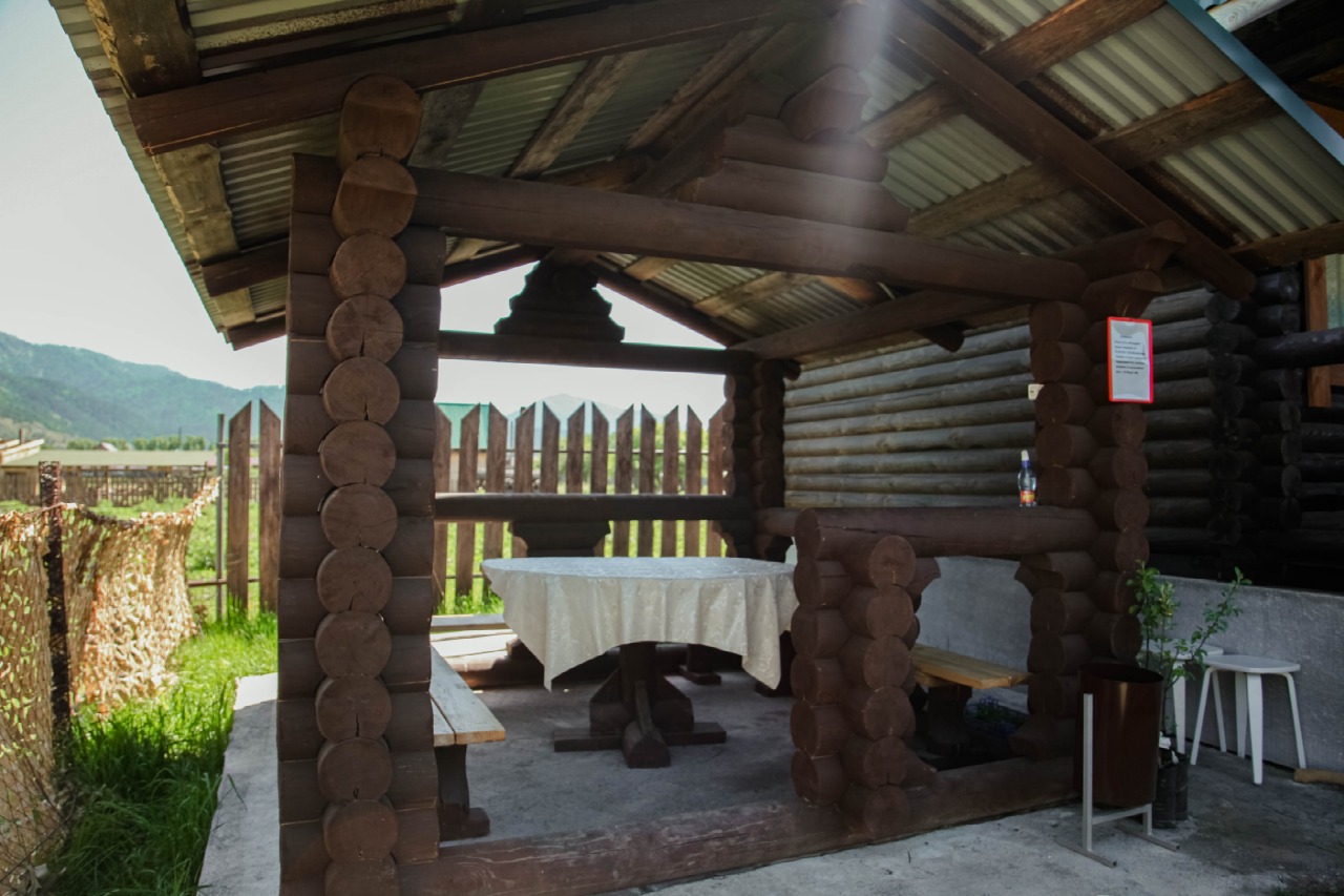 Фото Золотой медведь