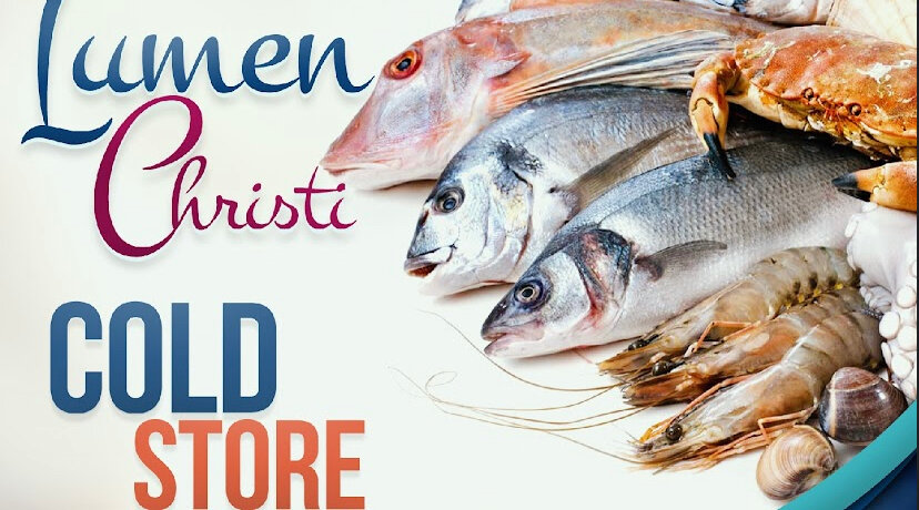 Fish and seafood Lumen Christi Cold Store, Kumasi, photo