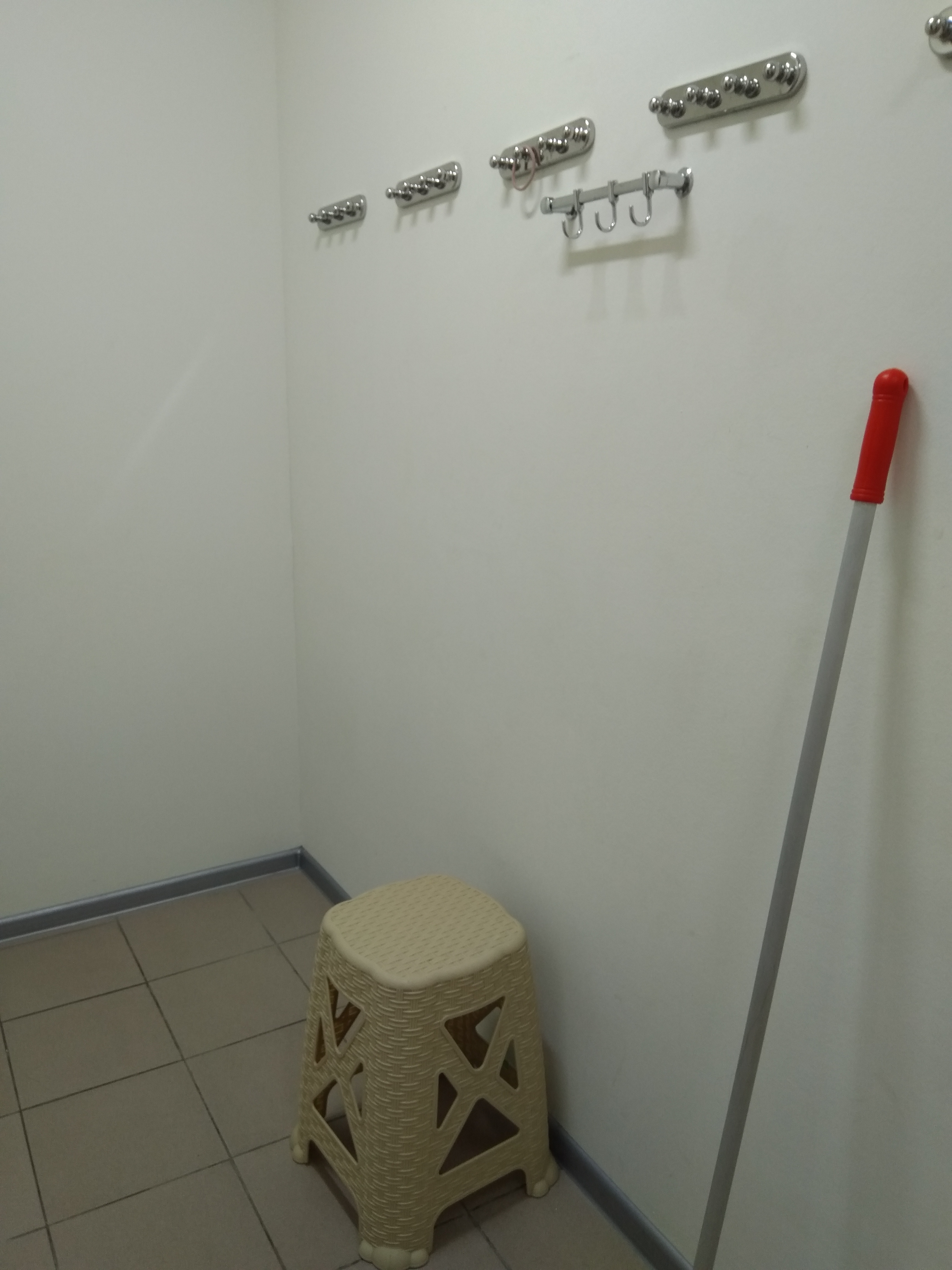 Фото Овсянка