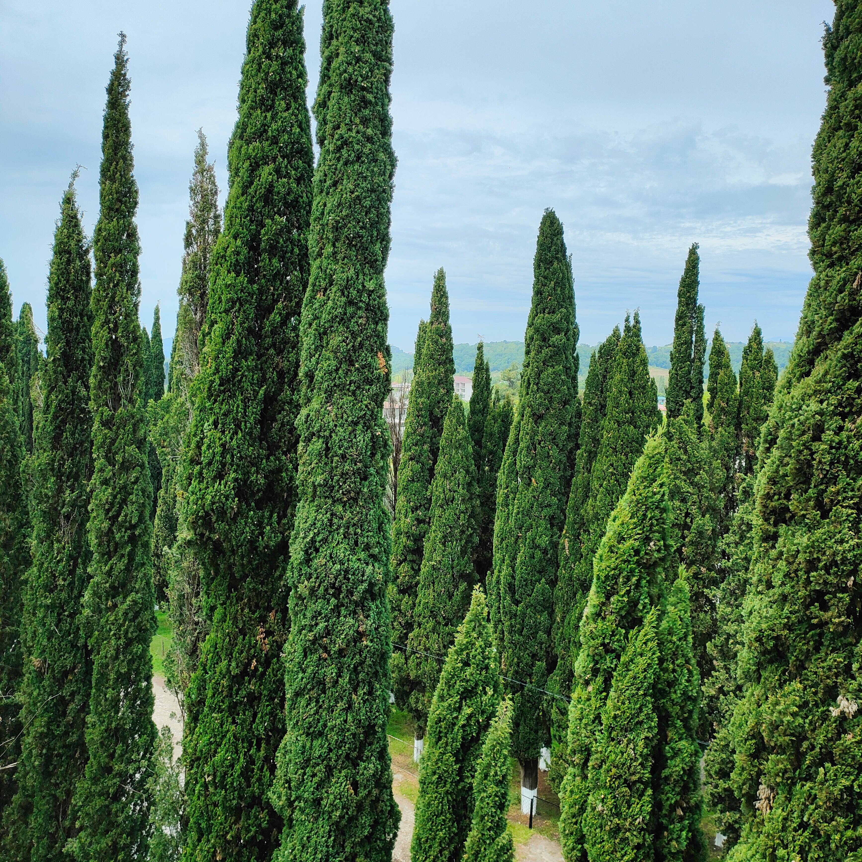 Фото Отель Napra