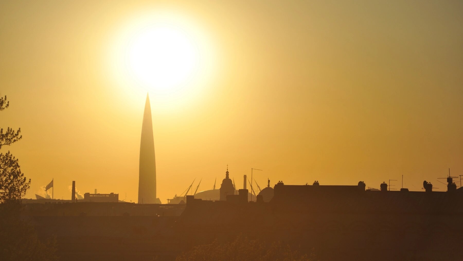 Фото Solo Прима