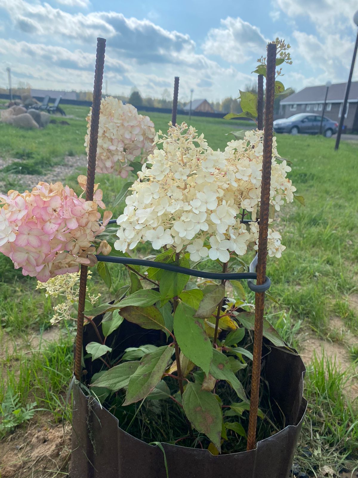 Фото Ярославские озерки